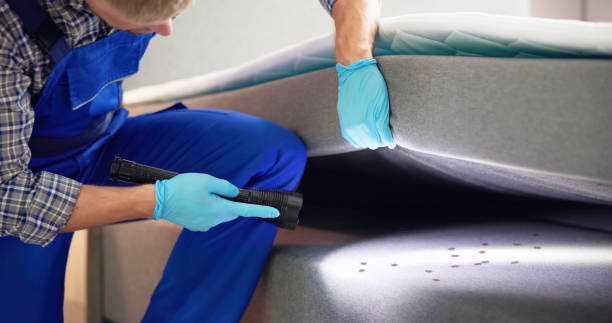 Best Mosquito Control Services  in Woodfield, SC