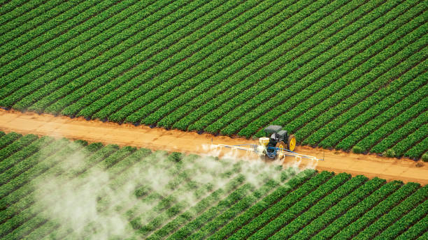 Best Best Pest Control Near Me  in Woodfield, SC