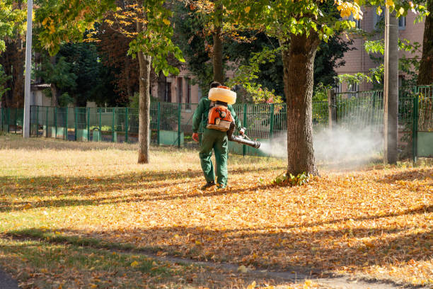 Best Pest Control Near Me in Woodfield, SC