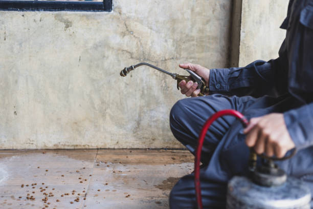 Best Pest Prevention Services  in Woodfield, SC
